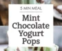 Mint Chocolate Chip Greek Yogurt Pops Recipe